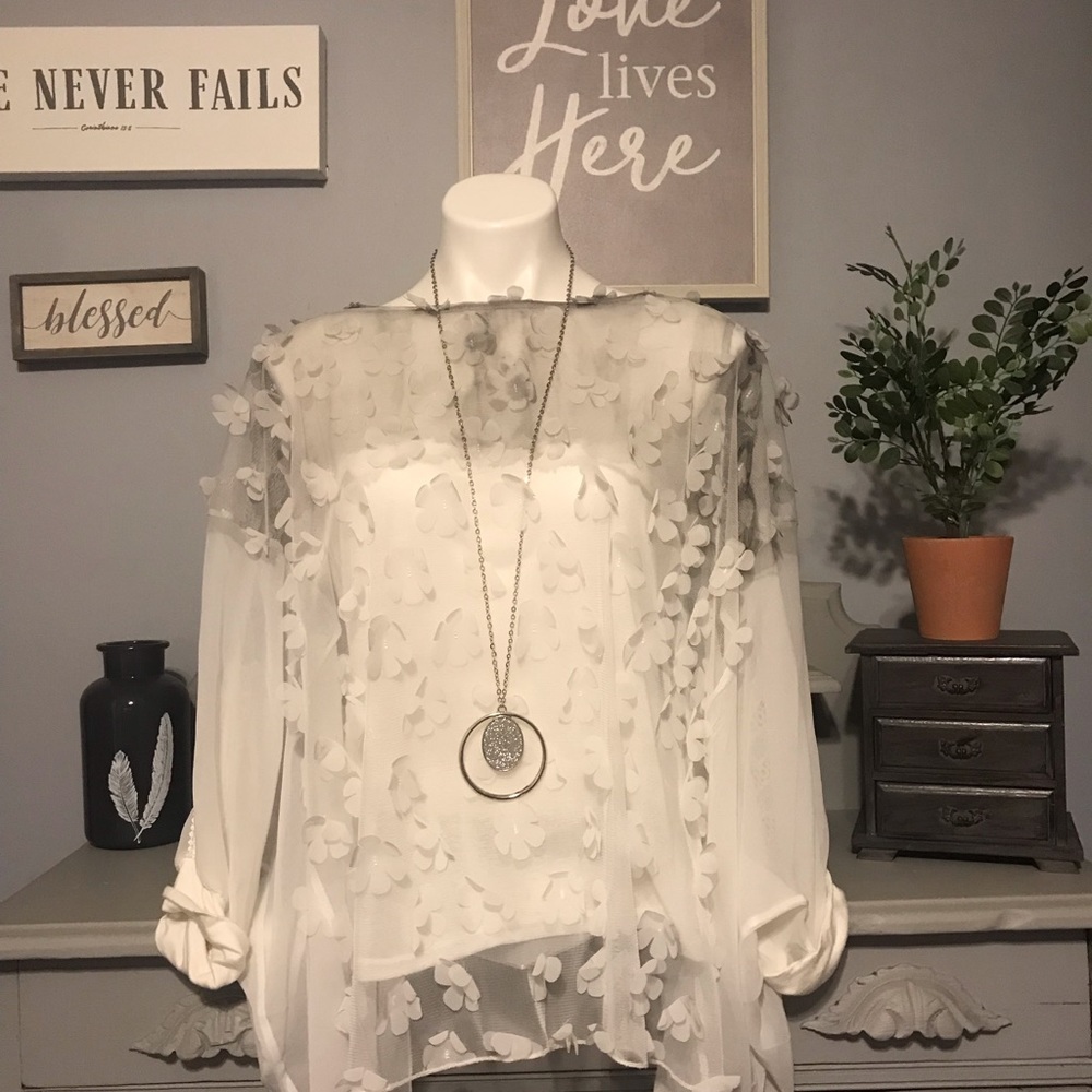 Shear elegant blouse